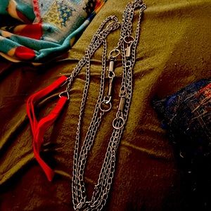 2 chain leashes